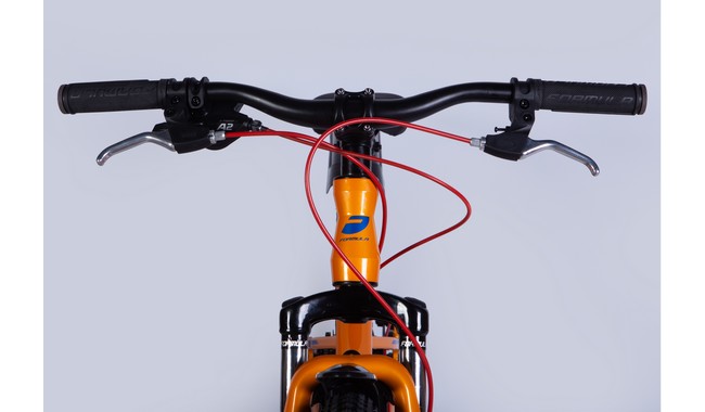 Велосипед Formula Acid DD 24" - дополнительное фото 5