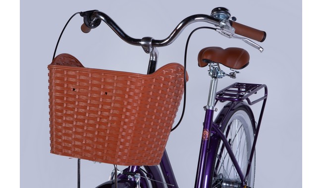 Велосипед Dorozhnik Coral PH - дополнительное фото 24