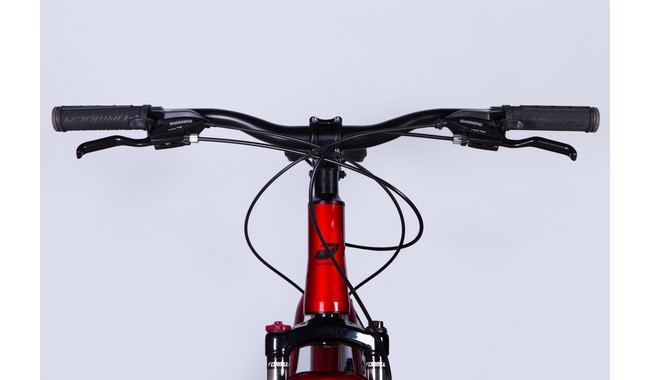 Велосипед Formula Motion 29" - дополнительное фото 5