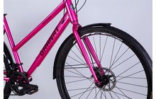 Велосипед Dorozhnik Granat W - дополнительное фото 4