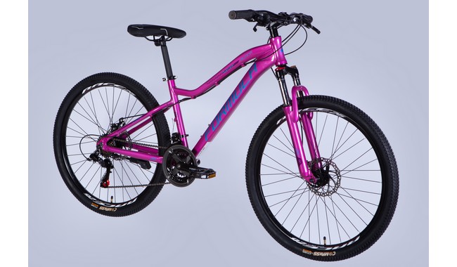 Велосипед Formula Alpina 26" - дополнительное фото 1