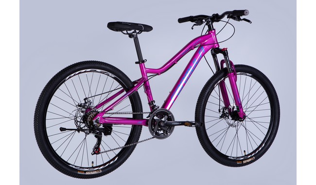 Велосипед Formula Alpina 26" - дополнительное фото 2