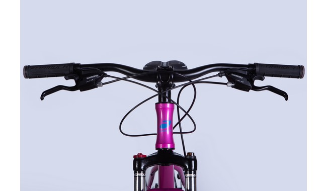 Велосипед Formula Alpina 26" - дополнительное фото 5