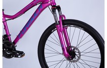 Велосипед Formula Alpina 26" - дополнительное фото 4