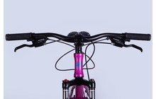 Велосипед Formula Alpina 26" - дополнительное фото 5