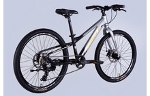 Велосипед Formula F-1 24" - дополнительное фото 8