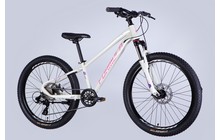 Велосипед Formula Thor CS 24" - дополнительное фото 19