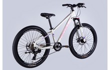 Велосипед Formula Thor CS 24" - дополнительное фото 20