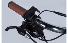 Электровелосипед Dorozhnik eRetro 500 Вт 36 В 12.5 Ач - дополнительное фото 30