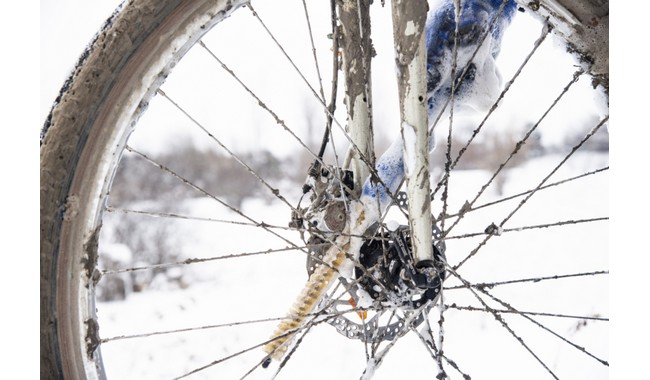 Набор щеток Park Tool BCB-5 - дополнительное фото 7