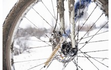 Набор щеток Park Tool BCB-5 - дополнительное фото 7