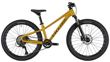 Велосипед Cyclone Dream 24