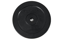 Диск Toorx DGG 2 кг 25 мм - фото 1