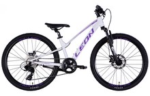 Велосипед Leon Junior AM DD - фото 2