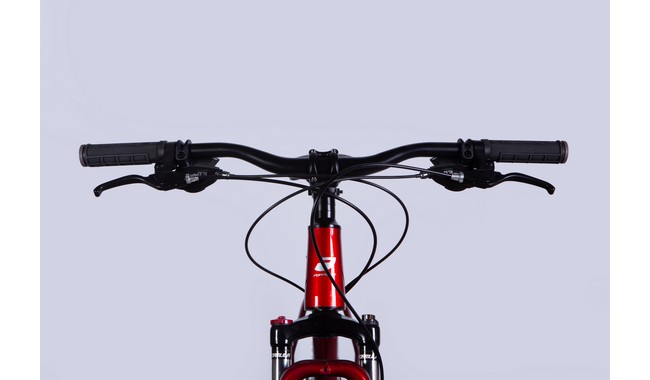 Велосипед Formula Thor CS 29" - дополнительное фото 18