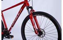 Велосипед Formula Thor CS 29" - дополнительное фото 17