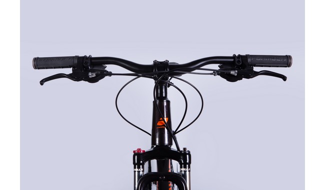 Велосипед Formula Thor CS 29" - дополнительное фото 12