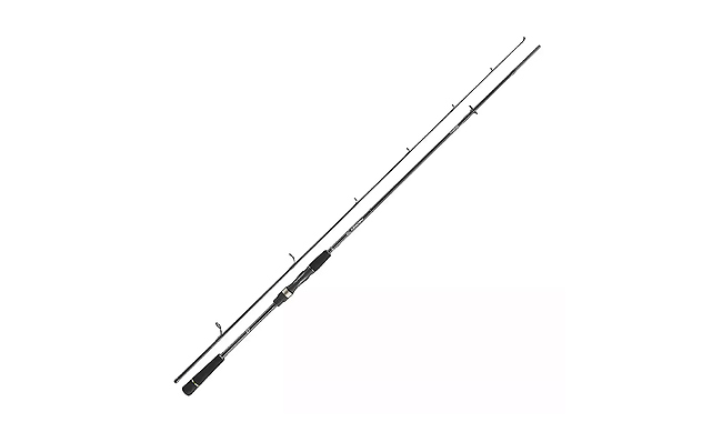 Спінінг Daiwa Prorex S Spin 50-100 г 2,70 м - фото 1