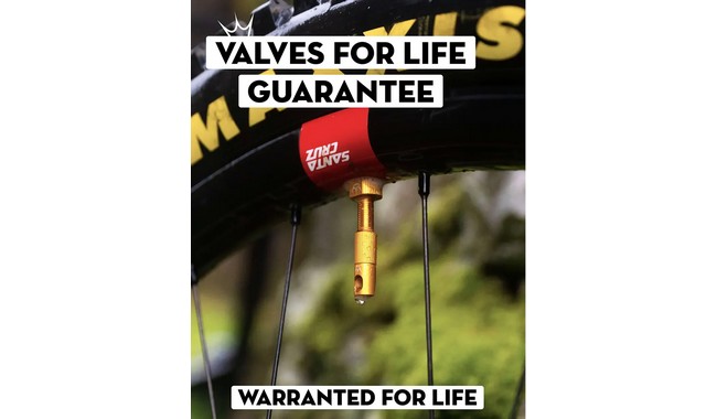 Ніпелі Peaty's x Chris King MK2 42 мм - дополнительное фото 6