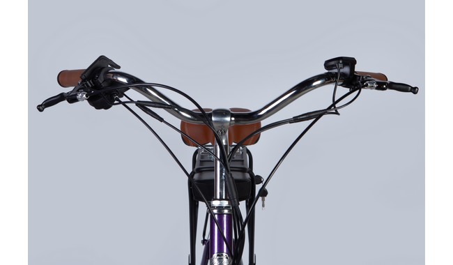 Электровелосипед Dorozhnik eCoral 500 Вт 36 В 12.5 Ач - дополнительное фото 11