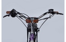 Электровелосипед Dorozhnik eCoral 500 Вт 36 В 12.5 Ач - дополнительное фото 11