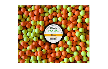 Бойлы Puhach Baits Pop Ups Multicolor 10 мм