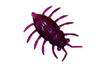 Насекомое FishUp Maybug 1,3" 5 шт - фото 7