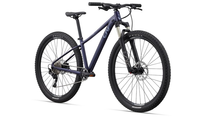 Велосипед Liv Tempt 1 29" - дополнительное фото 1