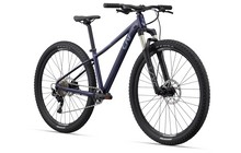 Велосипед Liv Tempt 1 29" - дополнительное фото 1