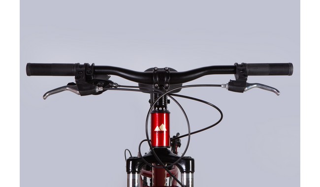 Велосипед Discovery Flint AM DD - дополнительное фото 11