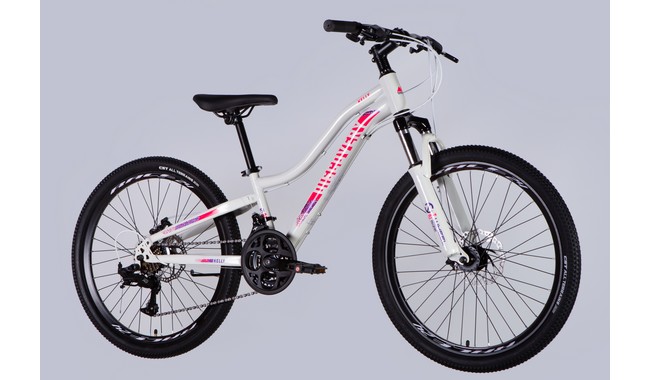 Велосипед Discovery Kelly 24" - дополнительное фото 1