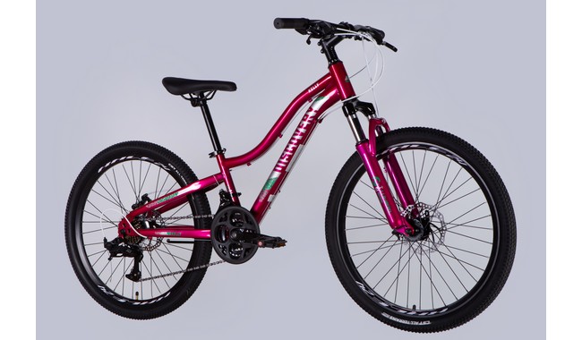 Велосипед Discovery Kelly 24" - дополнительное фото 7