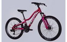 Велосипед Discovery Kelly 24" - дополнительное фото 7