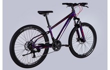 Велосипед Discovery Trek 26" - дополнительное фото 8