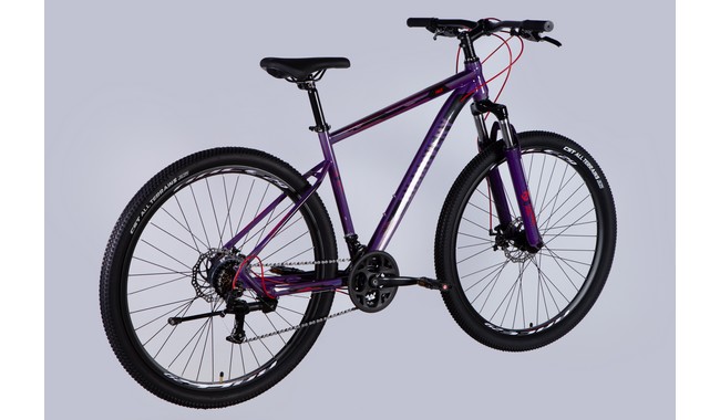 Велосипед Discovery Trek 29" - дополнительное фото 23