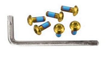 Болти кріплення ротора Alligator Torx