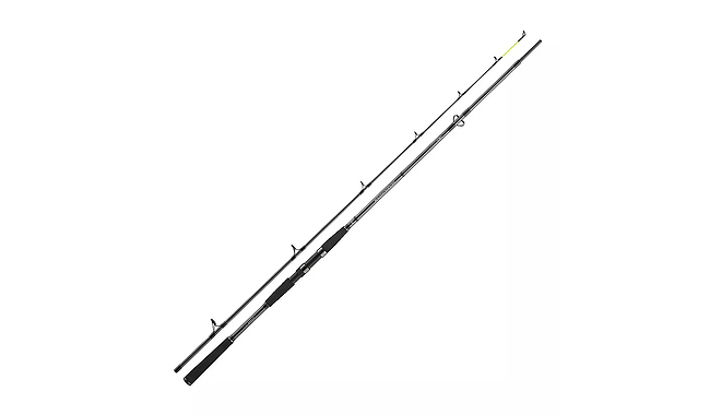 Спиннинг Daiwa Seahunter X 40-120 г 2,70 м - фото 1