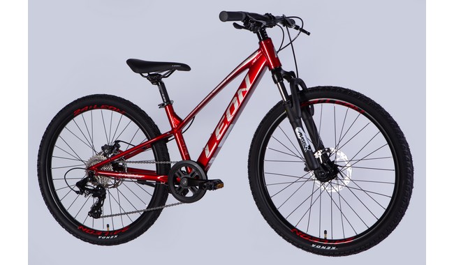 Велосипед Leon Junior AM DD - дополнительное фото 19