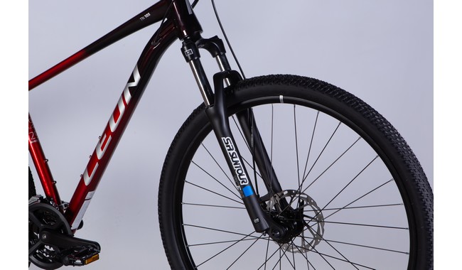 Велосипед Leon TN 105 - дополнительное фото 4