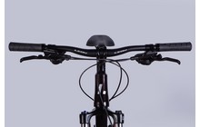 Велосипед Leon TN 80 - дополнительное фото 17