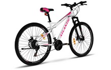 Велосипед Atlantic Rekon NS FMN 26" - дополнительное фото 2