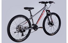 Велосипед Formula Thor CS 26" - дополнительное фото 14