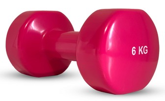 Гантель Stein DB3012 6 кг