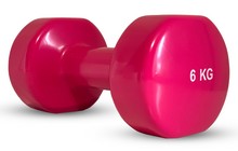 Гантель Stein DB3012 6 кг - фото 1