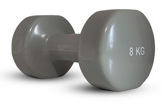 Гантель Stein DB3012 8 кг