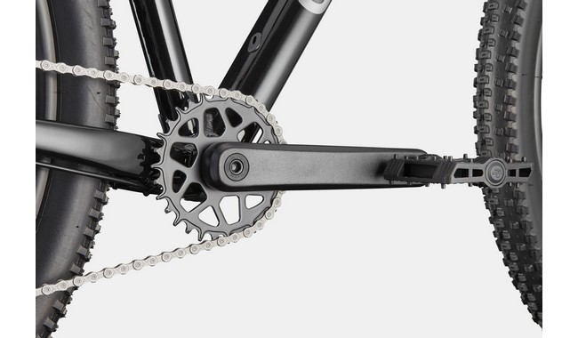 Велосипед Cannondale Trail 2 29" - дополнительное фото 3