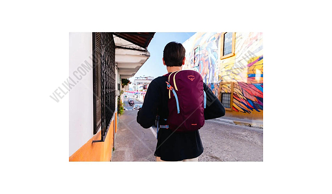 Рюкзак Osprey Daylite 13 л - дополнительное фото 5