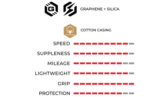 Покрышка Vittoria Corsa Pro 700x29C WR TLR - дополнительное фото 2