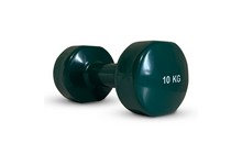 Гантель Stein DB3012 10 кг - фото 1