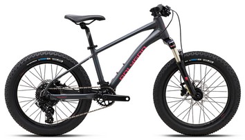 Велосипед Polygon Xtrada 20"